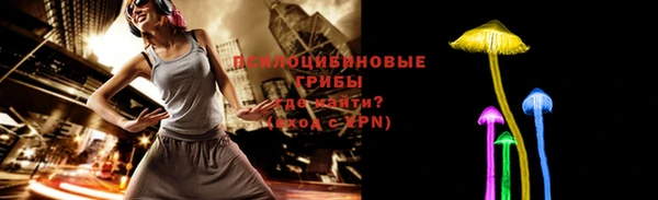 мяу мяу мука Белокуриха